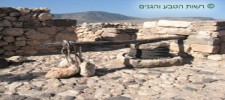 גן לאומי תל חצור